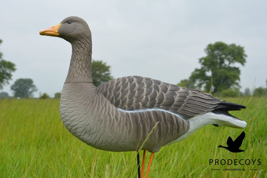Prodecoys Elite Series merihanhikaave full body 6 kpl