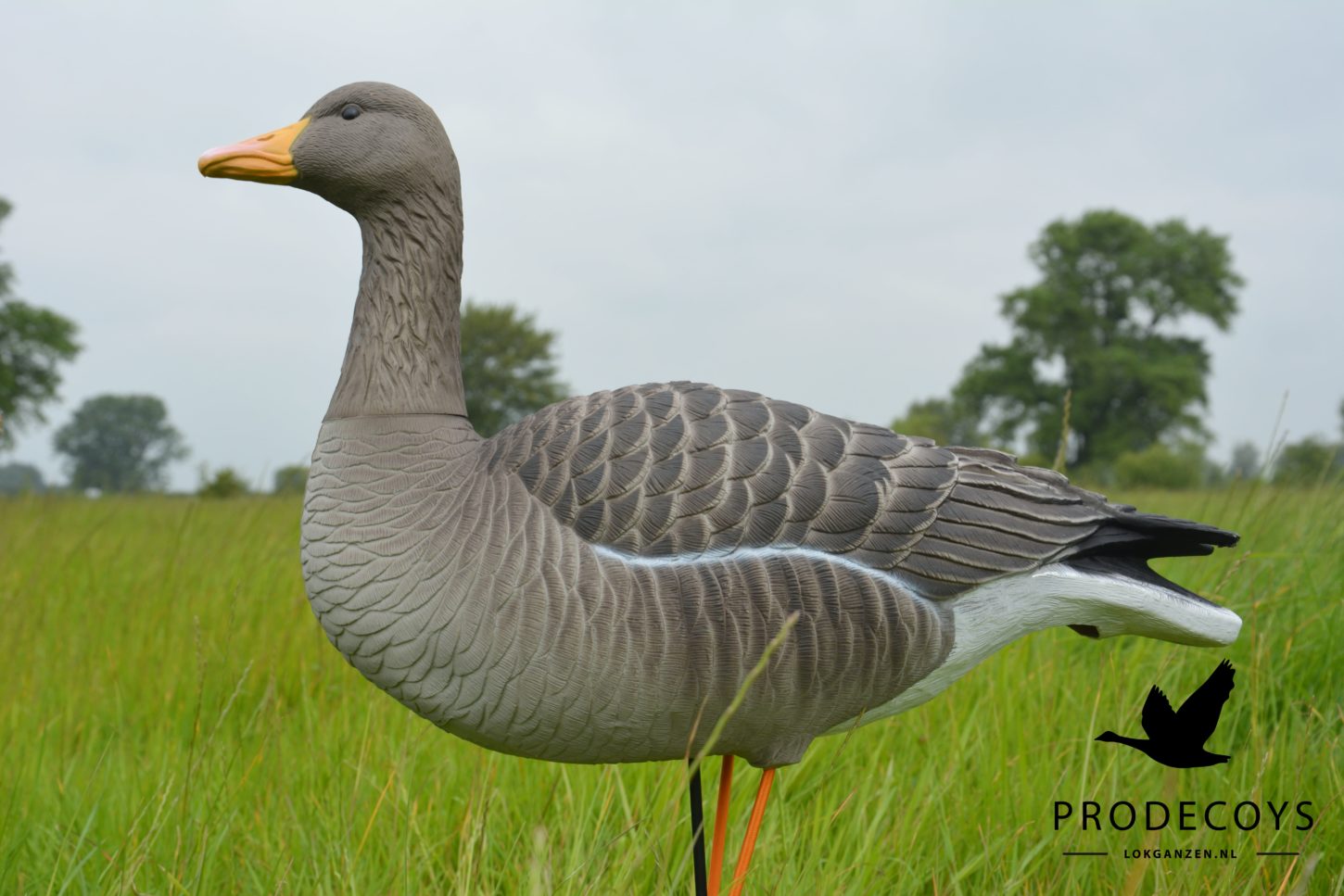 Prodecoys Elite Series merihanhikaave full body 6 kpl