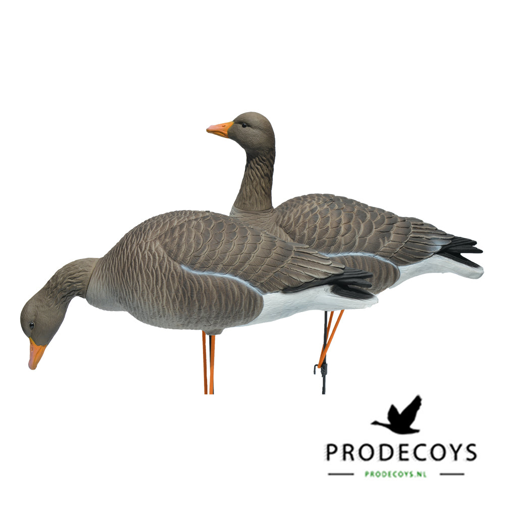 Prodecoys Elite Series merihanhikaave full body 6 kpl