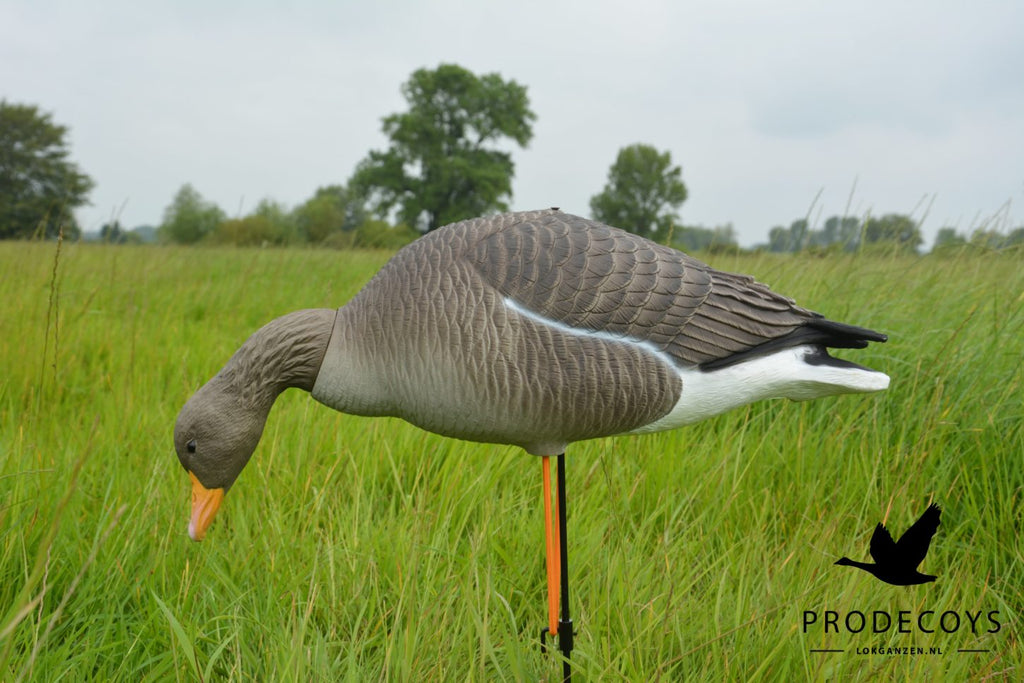 Prodecoys Elite Series merihanhikaave full body 6 kpl