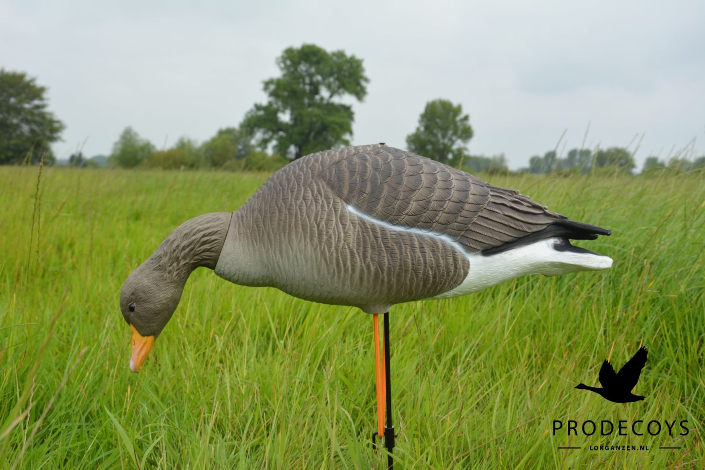 Prodecoys Elite Series merihanhikaave full body 6 kpl