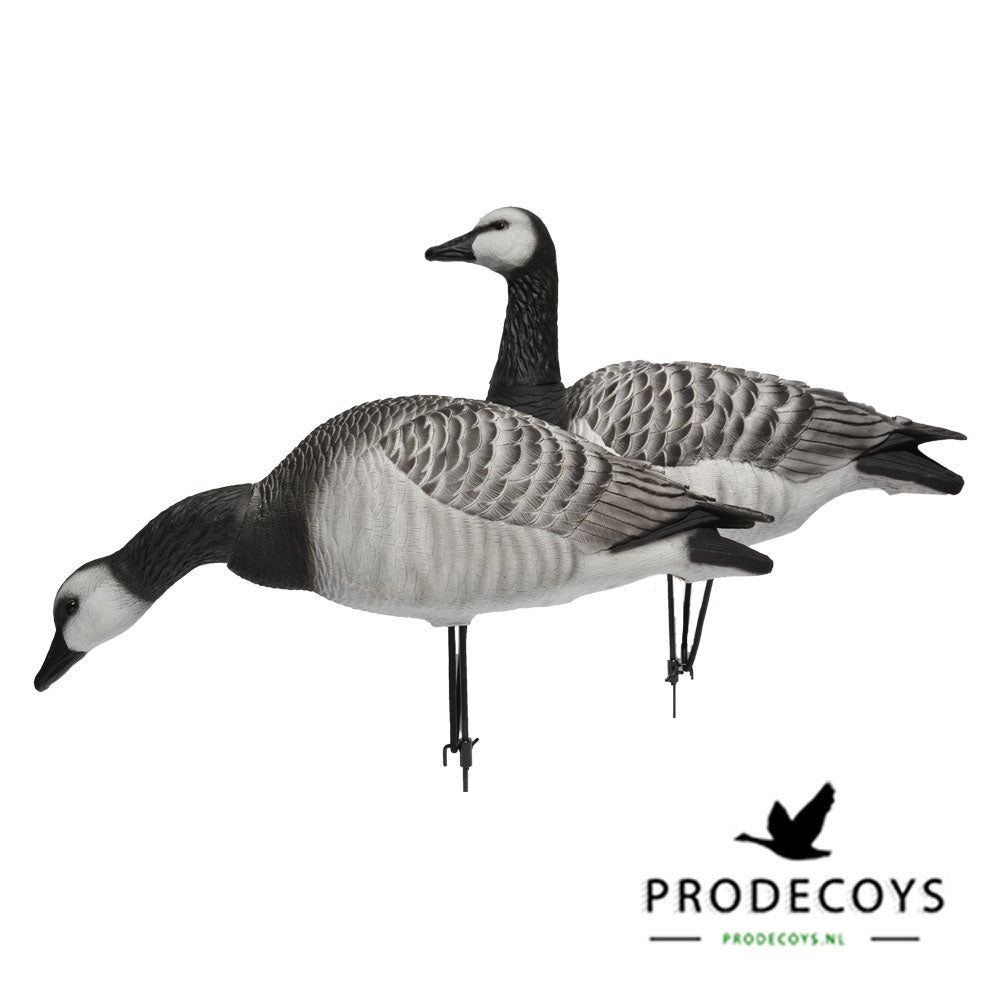 Prodecoys Elite series full body valkoposkihanhikaave 6 kpl