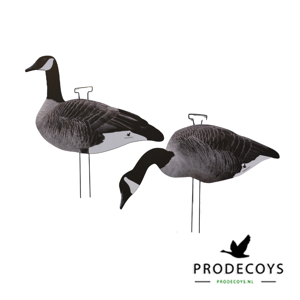 Prodecoys kanadanhanhen silhuettikaave 12 kpl