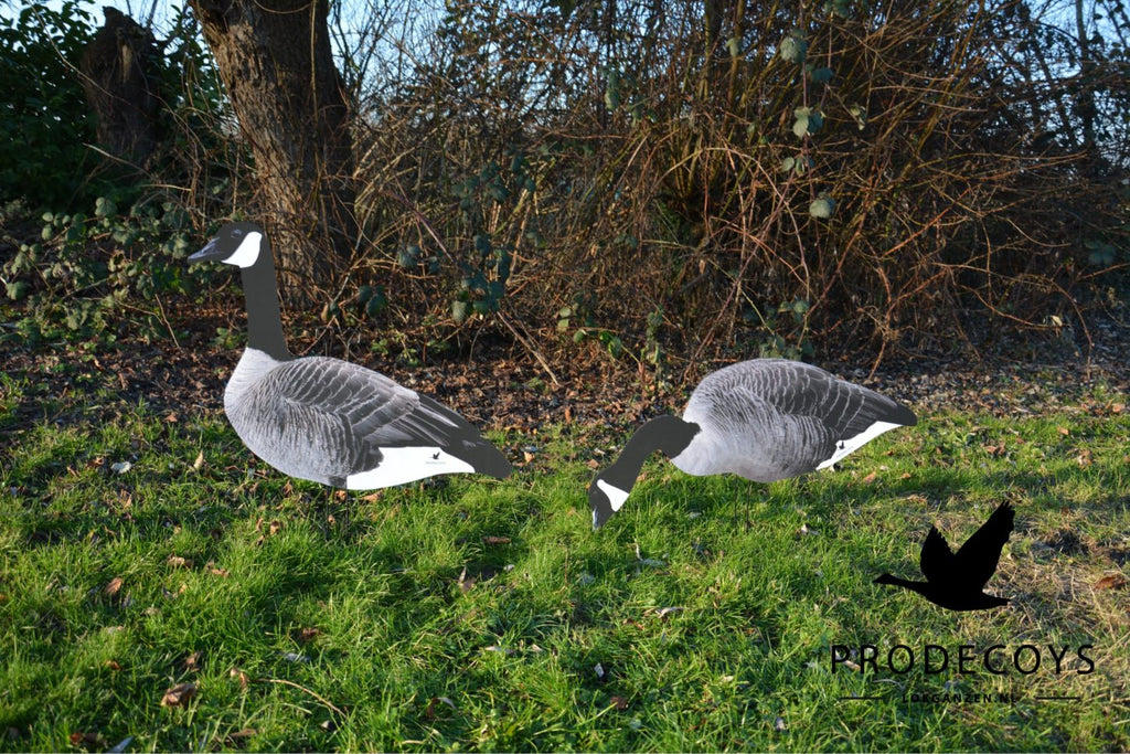 Prodecoys kanadanhanhen silhuettikaave 12 kpl