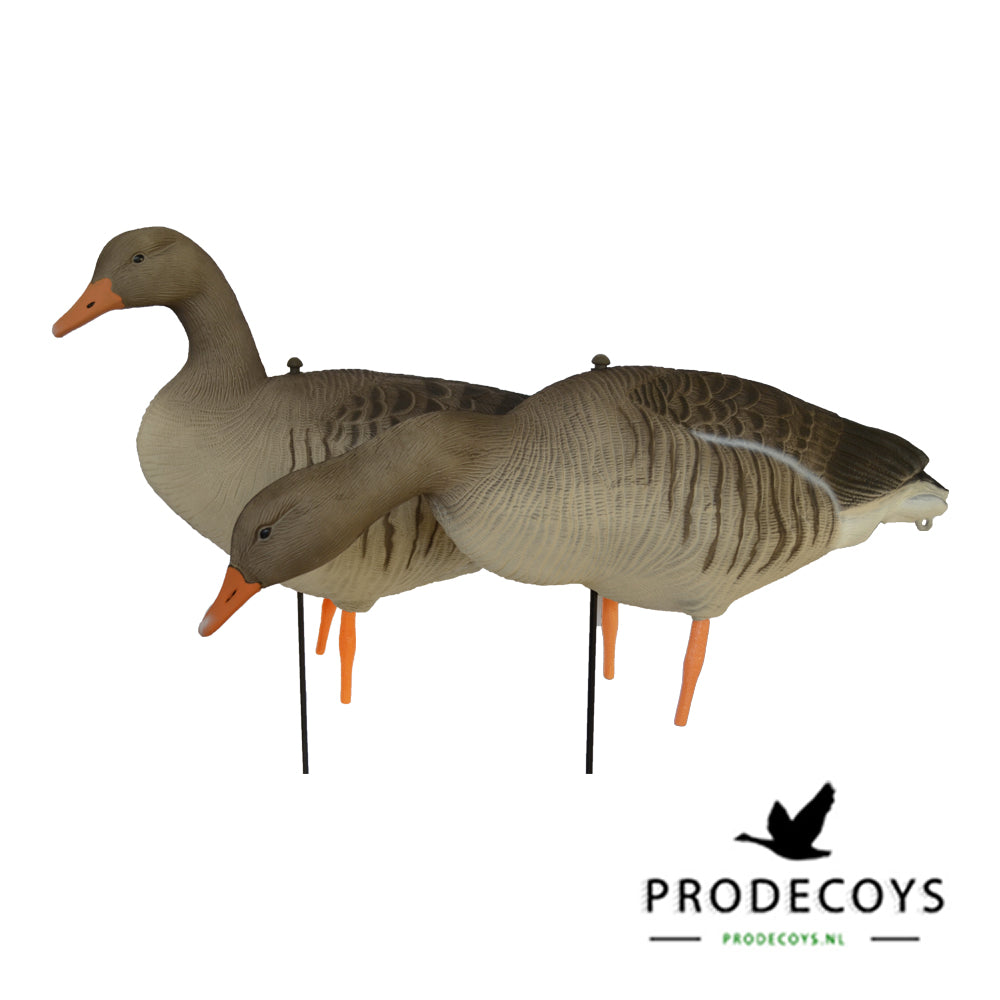 Prodecoys Ultralight merihanhikaave full body 12 kpl