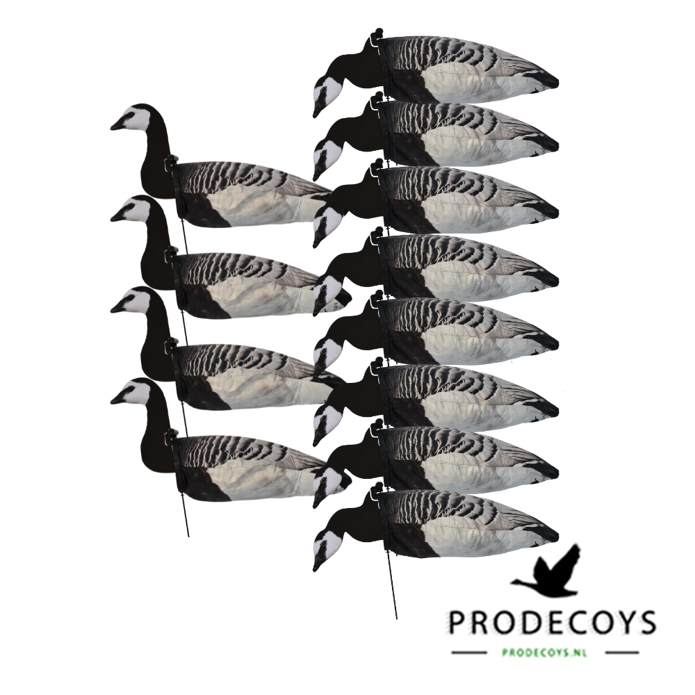 Prodecoys 2D valkoposkihanhen tuulipussikuva 12 kpl