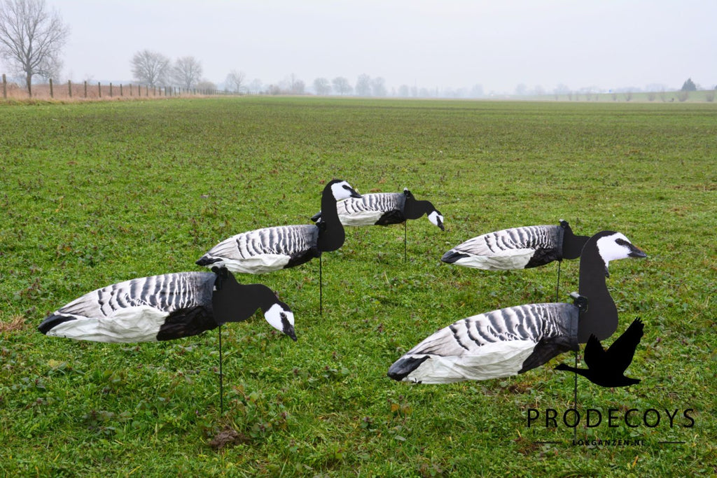 Prodecoys 2D valkoposkihanhen tuulipussikuva 12 kpl