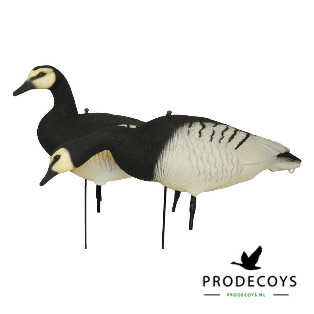 Prodecoys Valkoposkihanhen full body- kaave 12 kpl
