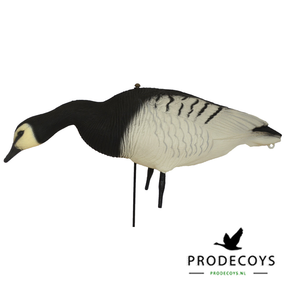 Prodecoys Valkoposkihanhen full body- kaave 12 kpl