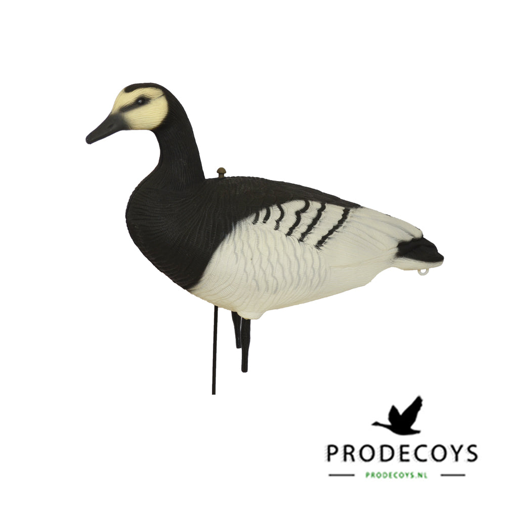 Prodecoys Valkoposkihanhen full body- kaave 12 kpl