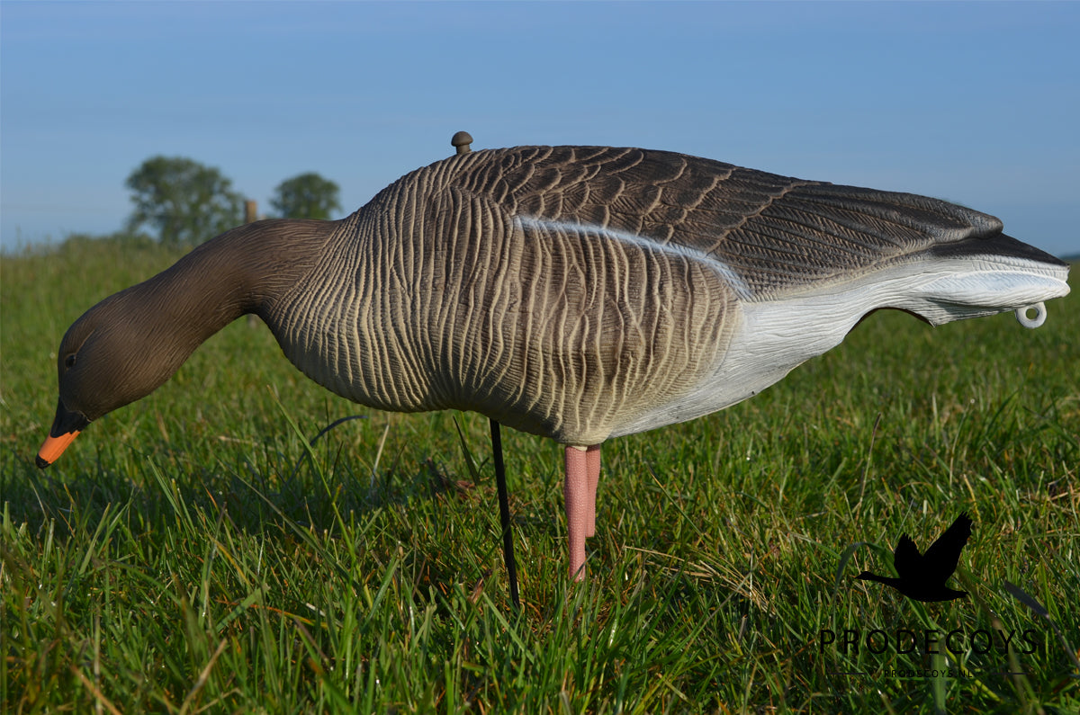 Prodecoys Ultralight metsähanhikaave 12 kpl