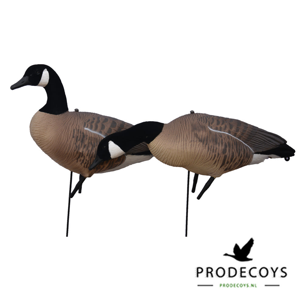 Prodecoys Ultralight kanadanhanhikaave full body 12 kpl