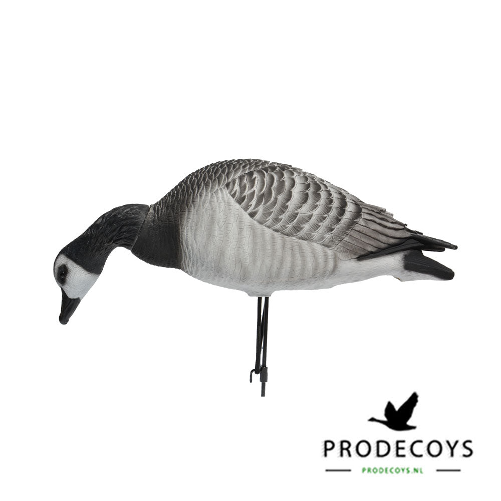 Prodecoys Elite series full body valkoposkihanhikaave 6 kpl