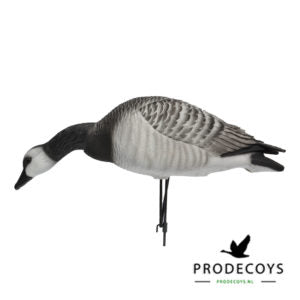 Prodecoys Elite series full body valkoposkihanhikaave 6 kpl