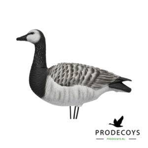 Prodecoys Elite series full body valkoposkihanhikaave 6 kpl