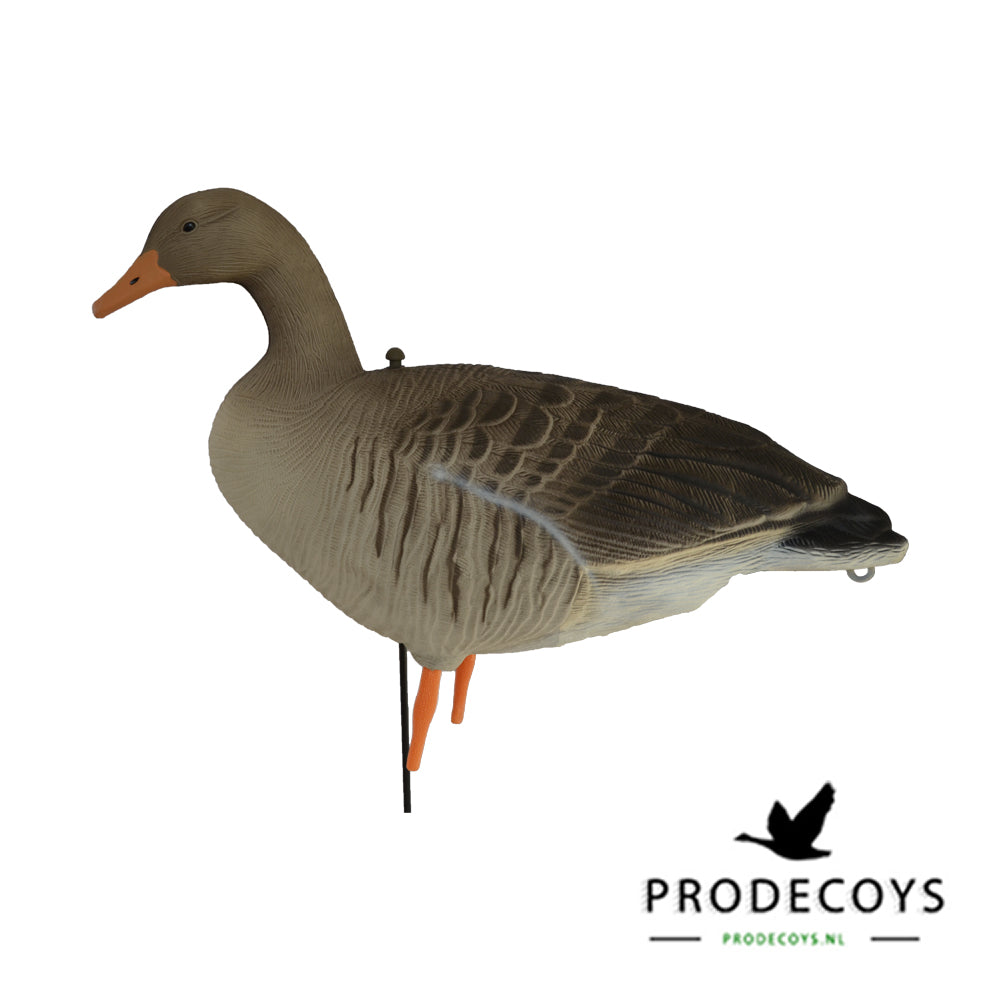 Prodecoys Ultralight merihanhikaave full body 12 kpl