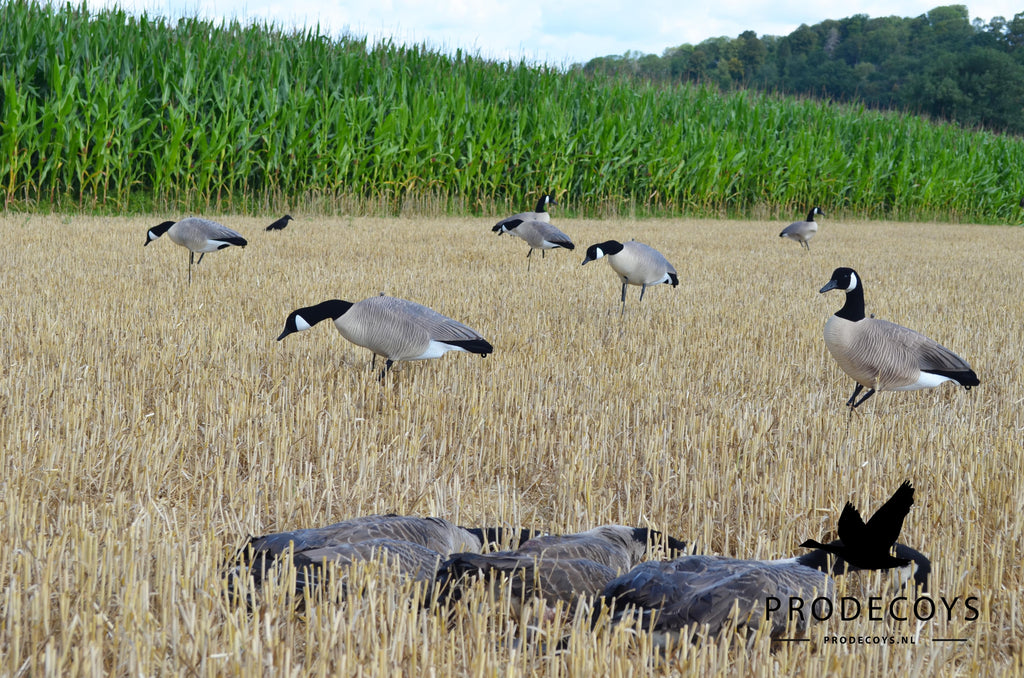 Prodecoys Ultralight kanadanhanhikaave full body 12 kpl