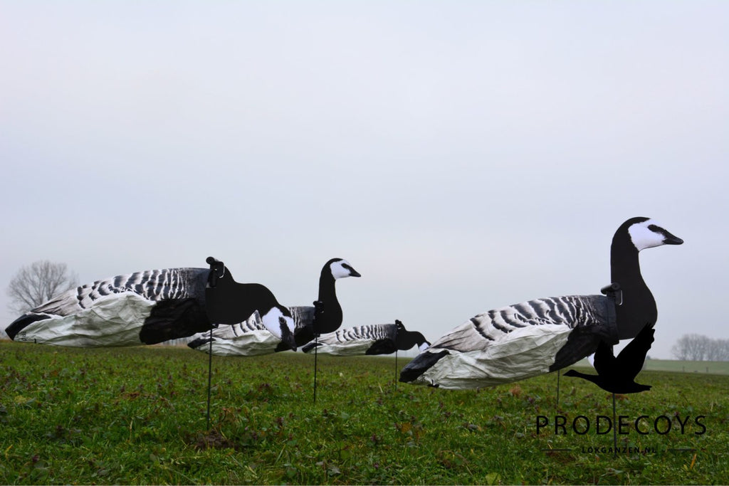 Prodecoys 2D valkoposkihanhen tuulipussikuva 12 kpl