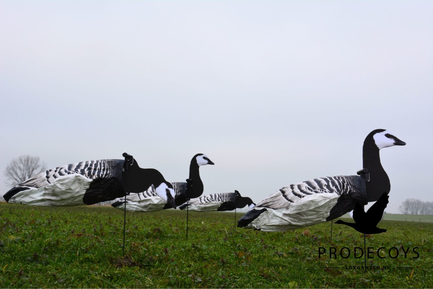 Prodecoys 2D valkoposkihanhen tuulipussikuva 12 kpl