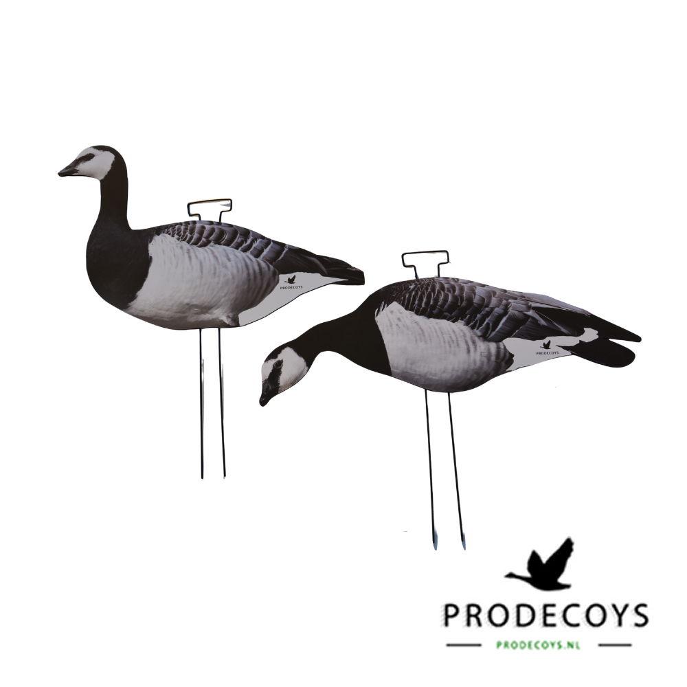 Prodecoys Valkoposkihanhen silhuettikaave 12 kpl